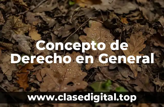 Concepto de Derecho en General