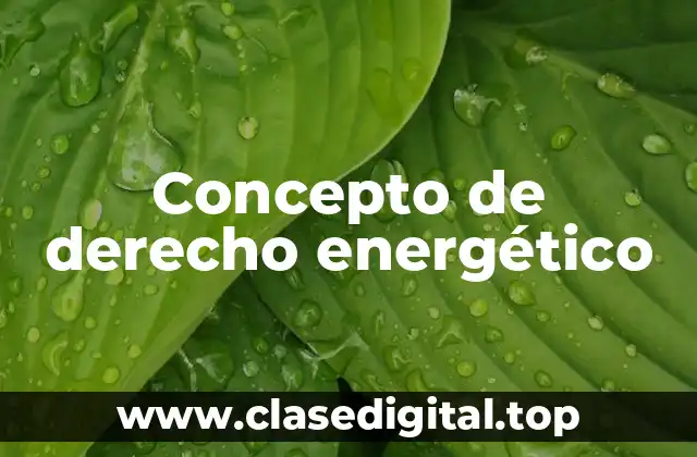 Concepto de derecho energético