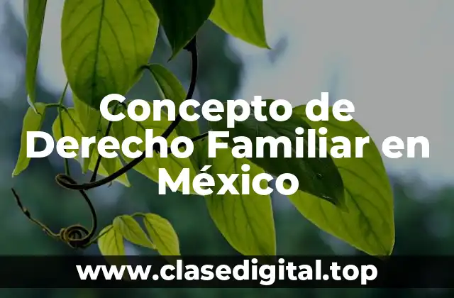 Concepto de Derecho Familiar en México