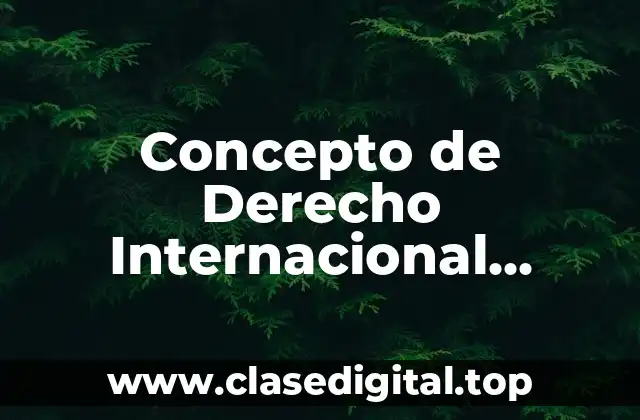 ✅ Concepto de Derecho Internacional Público
