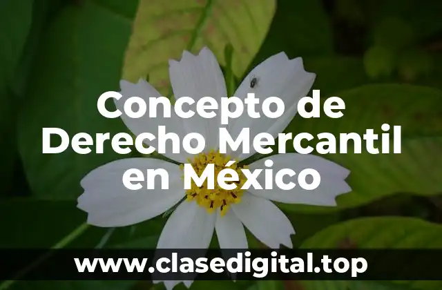 Concepto de Derecho Mercantil en México