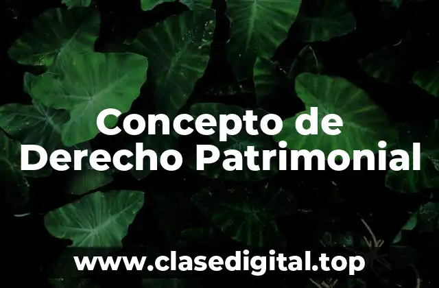 Concepto de Derecho Patrimonial