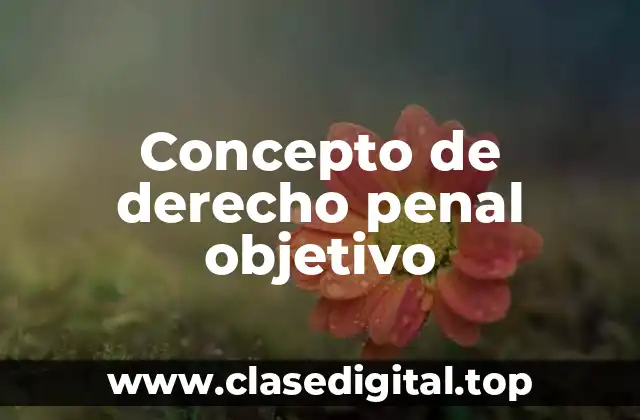 Concepto de derecho penal objetivo