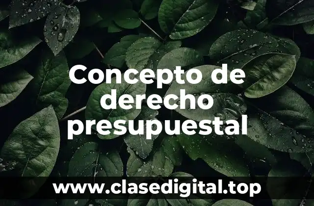 📗 Concepto de derecho presupuestal