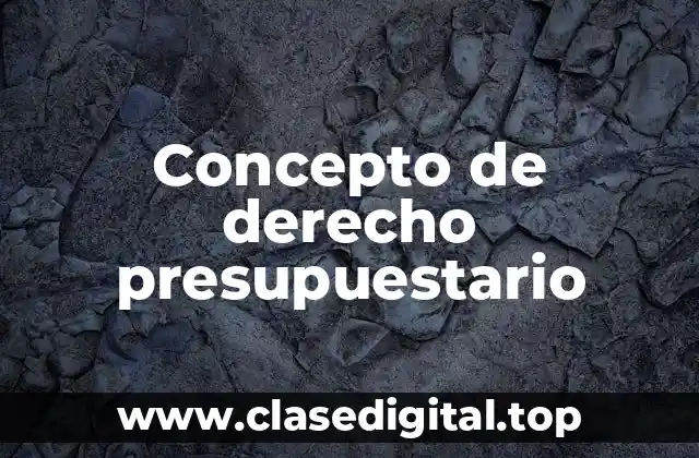 Concepto de derecho presupuestario