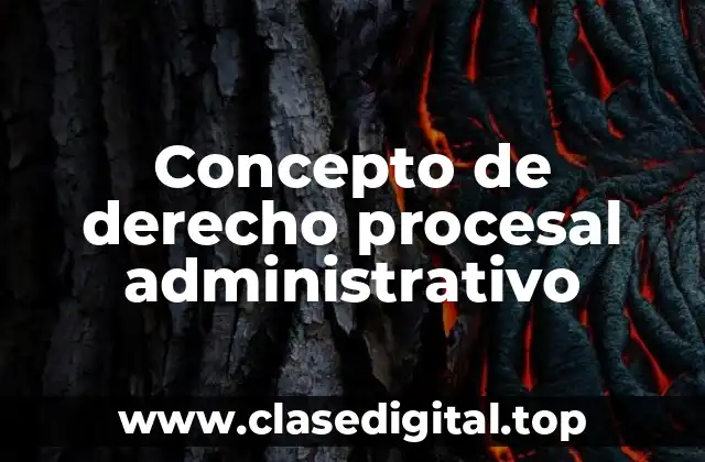 Concepto de derecho procesal administrativo