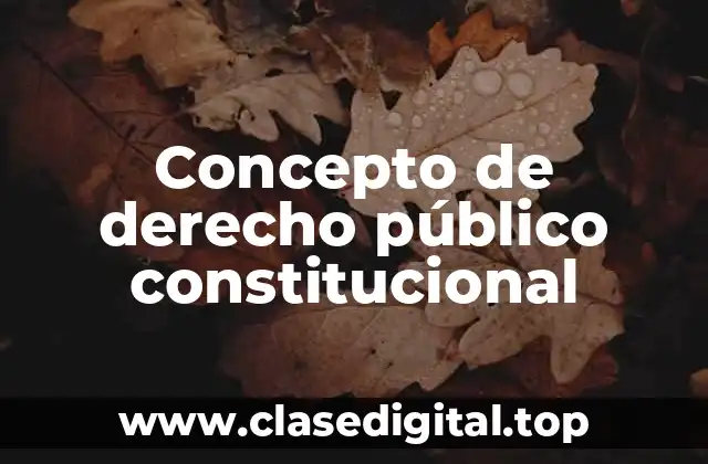 📗 Concepto de derecho público constitucional