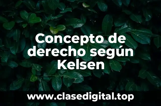 Concepto de derecho según Kelsen