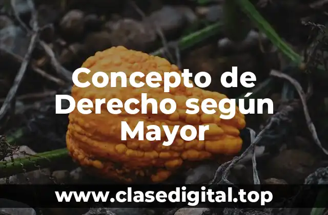 Concepto de Derecho según Mayor