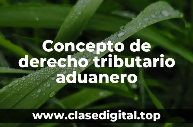 Concepto de derecho tributario aduanero