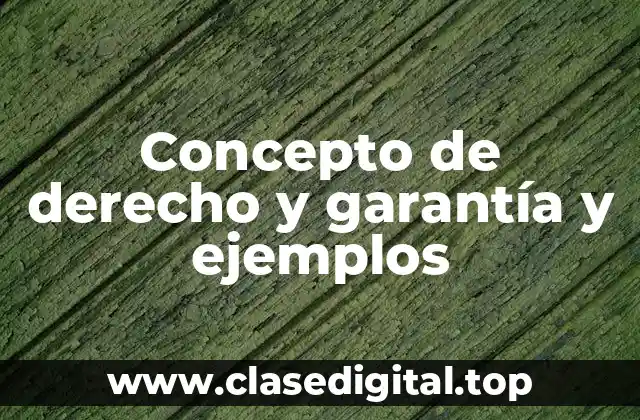 Concepto de derecho y garantía y ejemplos