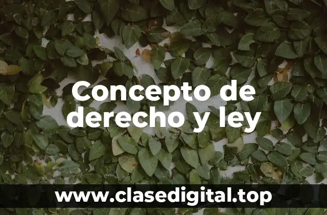 Concepto de derecho y ley