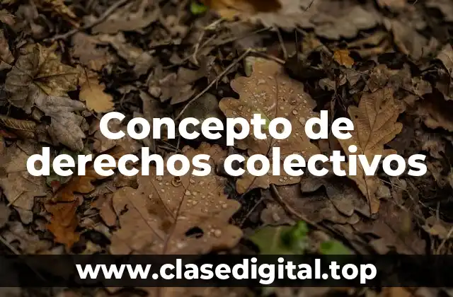 Concepto de derechos colectivos