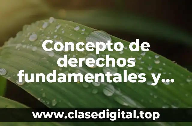 Concepto de derechos fundamentales y ejemplos