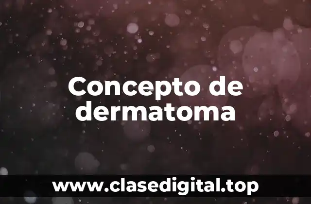 Concepto de dermatoma