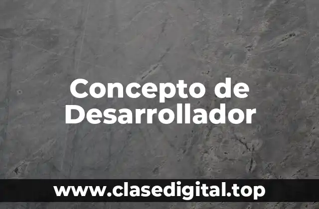 Concepto de Desarrollador