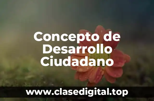 Concepto de Desarrollo Ciudadano
