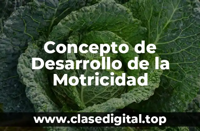 Concepto de Desarrollo de la Motricidad