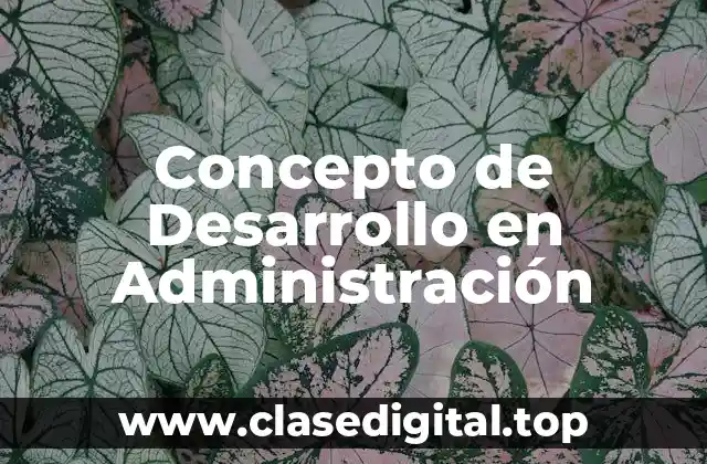 Concepto de Desarrollo en Administración