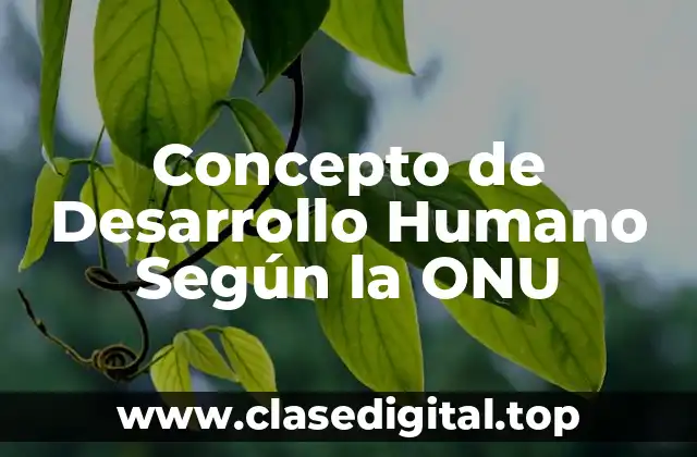 Concepto de Desarrollo Humano Según la ONU