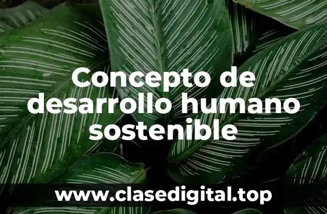 Concepto de desarrollo humano sostenible