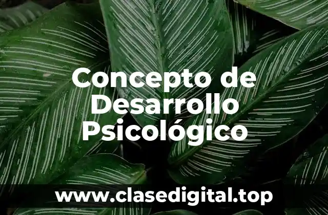 Concepto de Desarrollo Psicológico