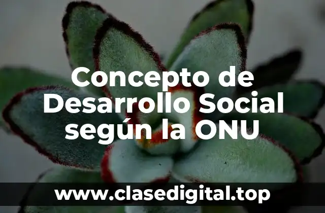 Concepto de Desarrollo Social según la ONU
