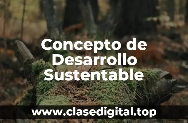 📗 Concepto de Desarrollo Sustentable