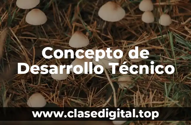 Concepto de Desarrollo Técnico