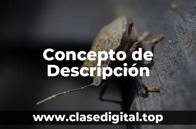 📗 Concepto de Descripción