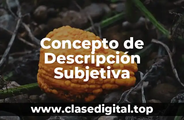 Concepto de Descripción Subjetiva