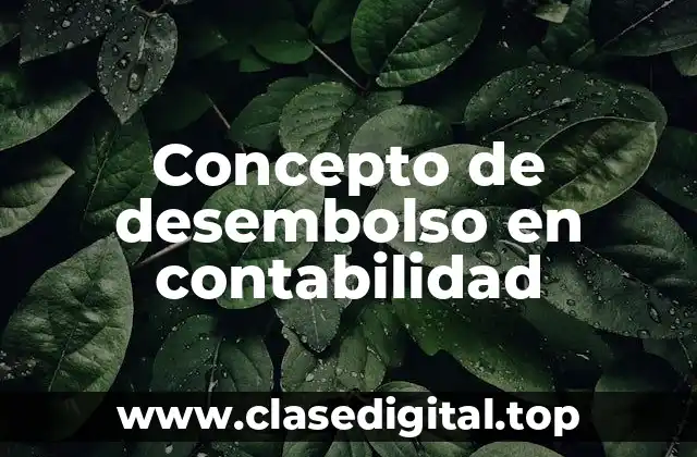 Concepto de desembolso en contabilidad