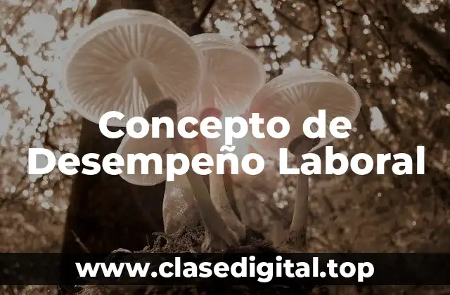 ➡️ Concepto de Desempeño Laboral