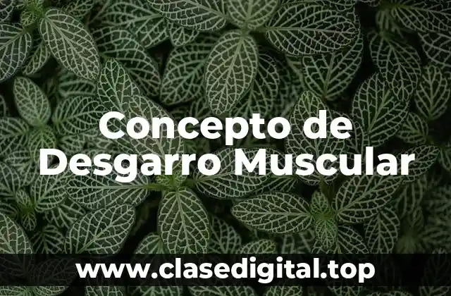 Concepto de Desgarro Muscular