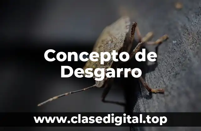 📗 Concepto de Desgarro