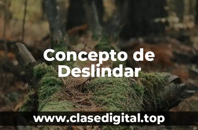 📗 Concepto de Deslindar