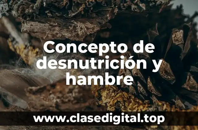Concepto de desnutrición y hambre