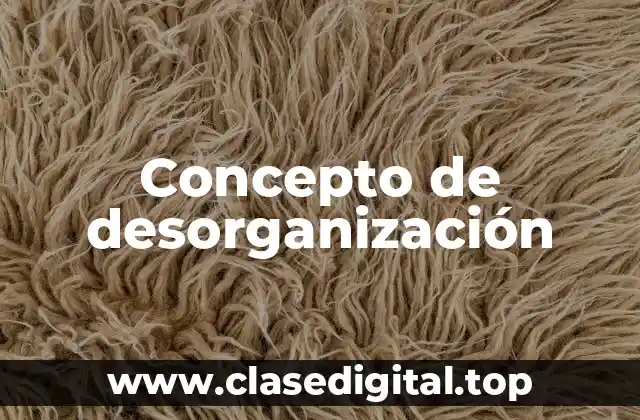 Concepto de desorganización