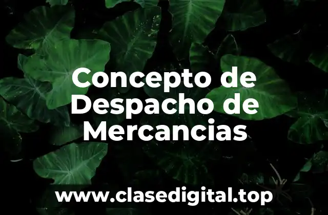 Concepto de Despacho de Mercancias