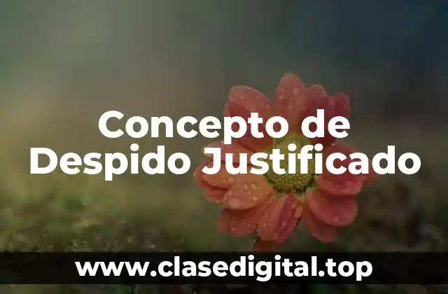 Concepto de Despido Justificado