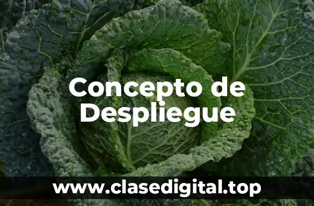 Concepto de Despliegue