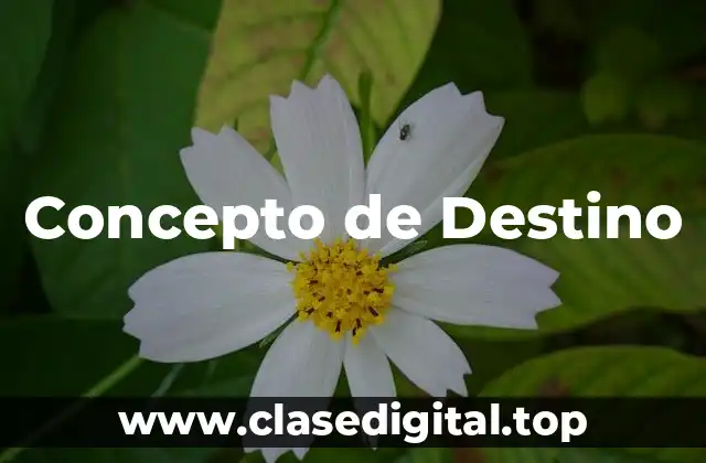 Concepto de Destino
