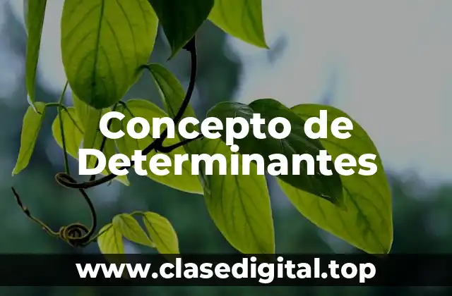 Concepto de Determinantes
