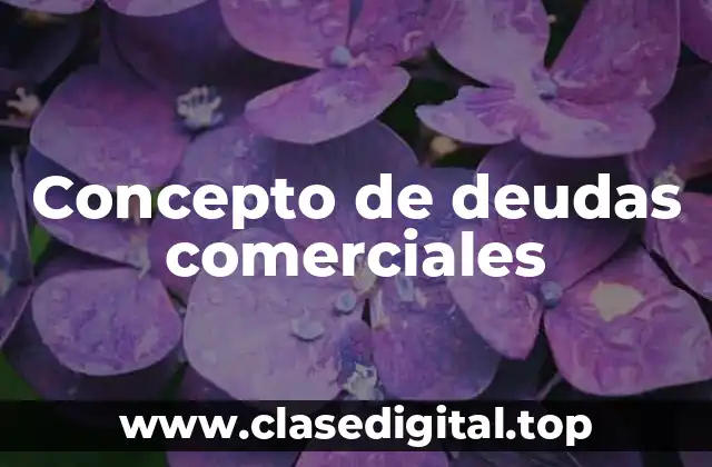 Concepto de deudas comerciales