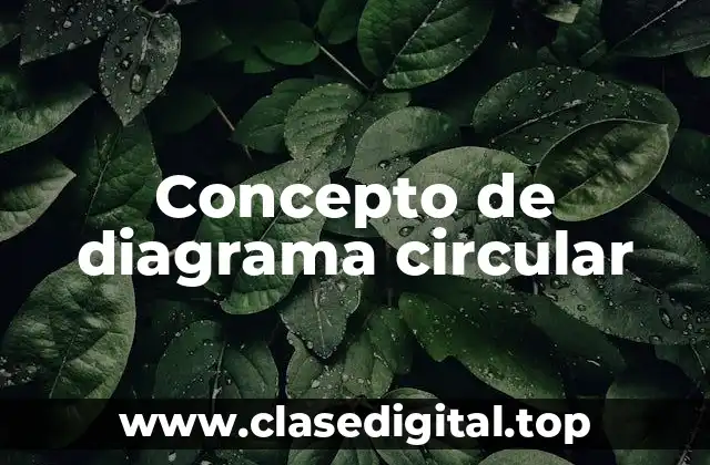 Concepto de diagrama circular