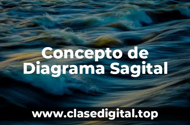 Concepto de Diagrama Sagital