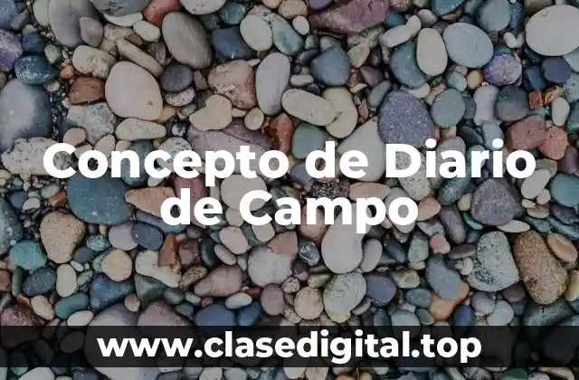 Concepto de Diario de Campo