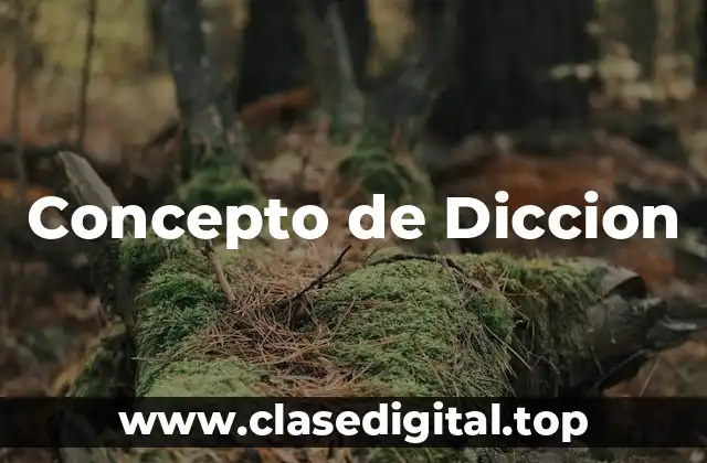Concepto de Diccion