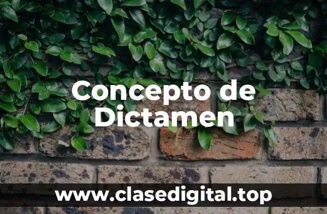 Concepto de Dictamen