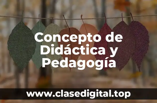 Concepto de Didáctica y Pedagogía